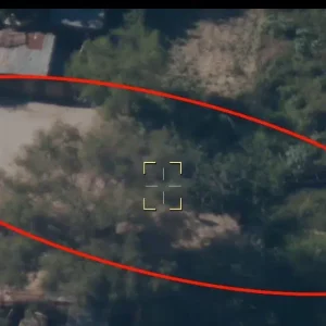 WhatsApp Image 2024 08 21 at 09.12.37 3bc0e649