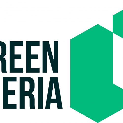 Read more about the article Nigeria returns to the Cannes Film Festival
