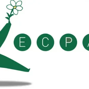 ecpat international logo 1