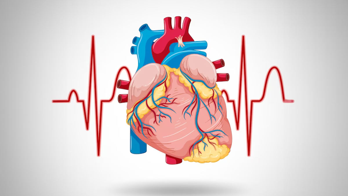 You are currently viewing 7 Early Warning Signs of Blocked Heart Veins, According to a Cardiologist