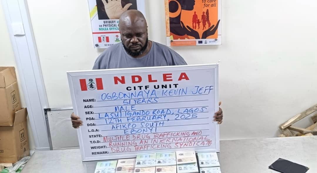 You are currently viewing NDLEA nabs druglord after 17 years of being on the run