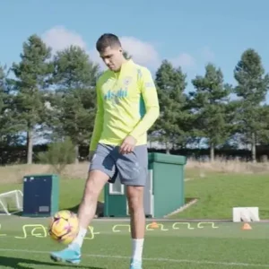 58bf5ae0 f610 11ef 8bd4 79fbcae3264e.jpg