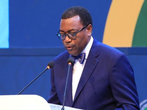 Read more about the article AfDB To Unlock $10 billion For African Farmers With New $500 Million Facility 
