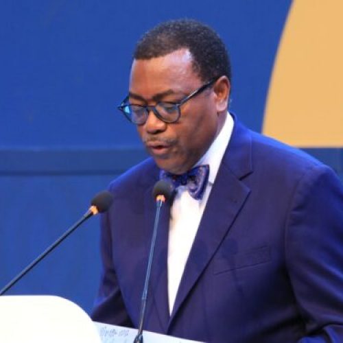 AfDB To Unlock $10 billion For African Farmers With New $500 Million Facility 