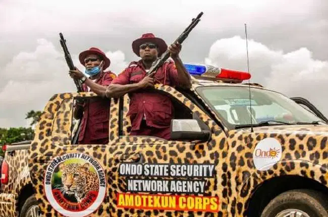 You are currently viewing  Ogun approves recruitment of 500 Amotekun operatives
