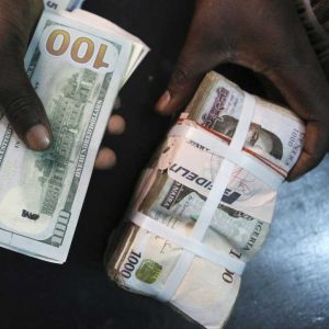 CBN floats naira at investors forex window