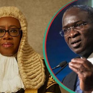 Cover Vector 1 CJN and Fash 583x340 1