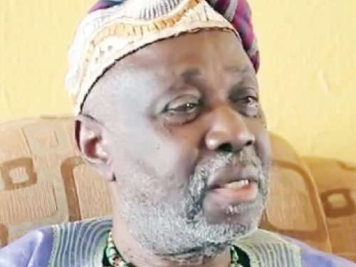 Read more about the article Alaafin stool: Oyo Mesi members were present when I consulted Ifa — Prof Wande Abimbola