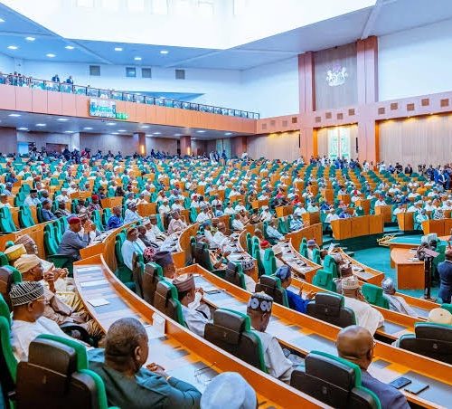 Read more about the article House of Representatives Approves Tinubu ’s Tax Reform Bills