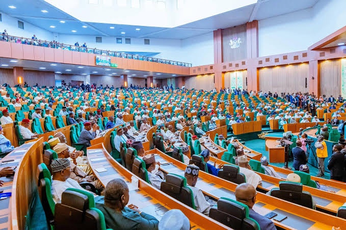 You are currently viewing House of Representatives Approves Tinubu ’s Tax Reform Bills