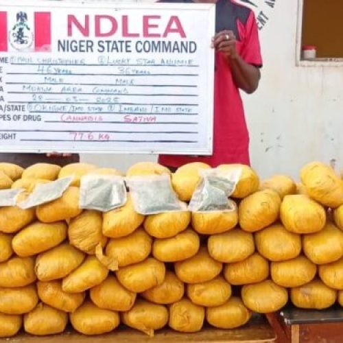 Lekki, Italy-based Businessmen Arrested over Illicit Drug Shipments to Nigeria, Europe
