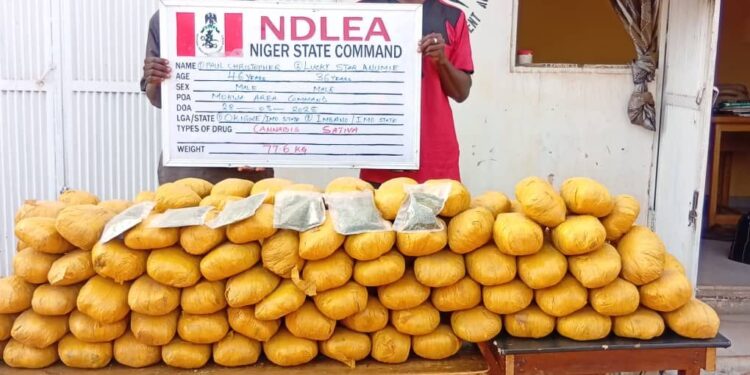 You are currently viewing Lekki, Italy-based Businessmen Arrested over Illicit Drug Shipments to Nigeria, Europe
