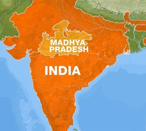 Read more about the article Nigerian woman remanded for drug trafficking in India