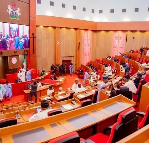 Read more about the article June 12: Again, Senate throws out motion to immortalise Nwosu