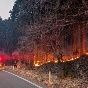 Thousands evacuated as Japan battles largest forest fire in decades 696x464 1