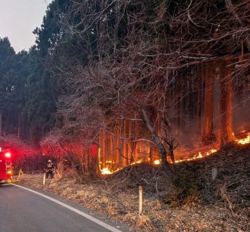 Read more about the article Thousands evacuated as Japan battles largest forest fire in decades