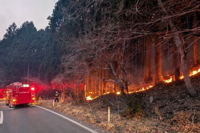 You are currently viewing Thousands evacuated as Japan battles largest forest fire in decades