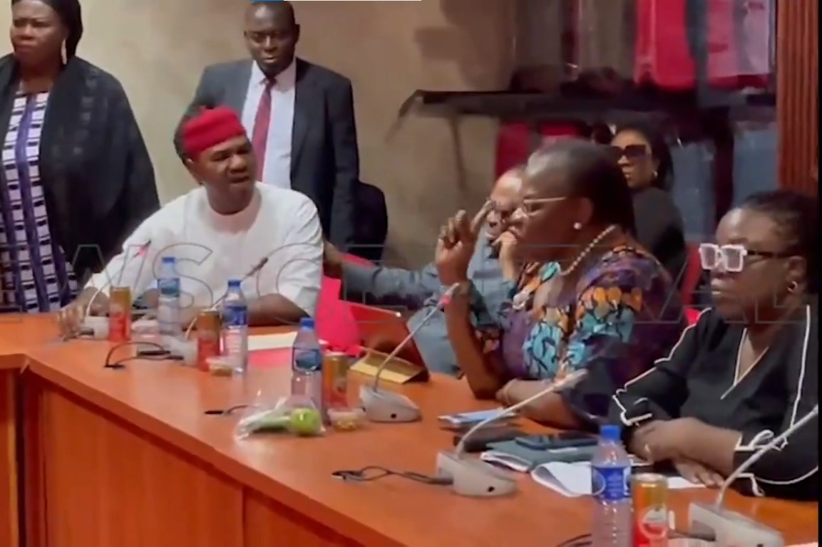 You are currently viewing ‘You’re A Fool’, Senator, Ezekwesili Trade Insults At Hearing