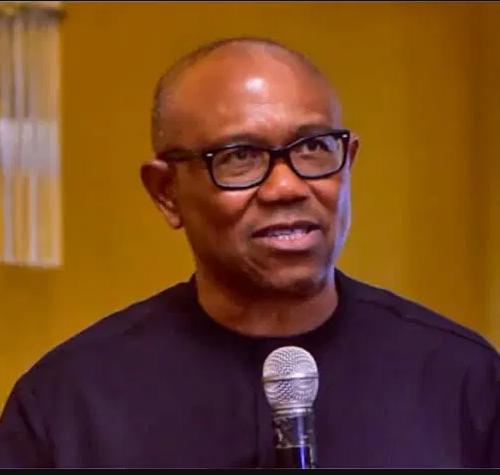 Read more about the article Rivers Emergency Rule: Obi Laments Behaviour Of LP, PDP Members In NASS, Says What Exists As Democracy In Nigeria Resembles Organised Criminality