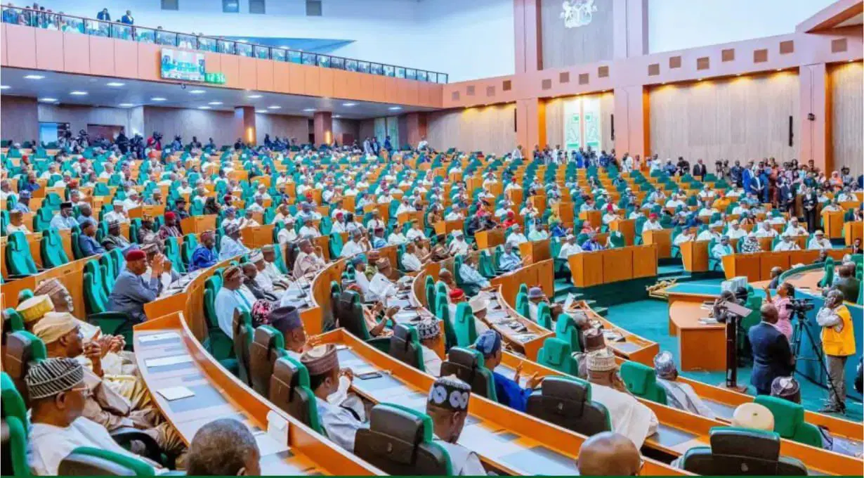 You are currently viewing Reps push bill to grant Nigerian citizenship to foreign investors