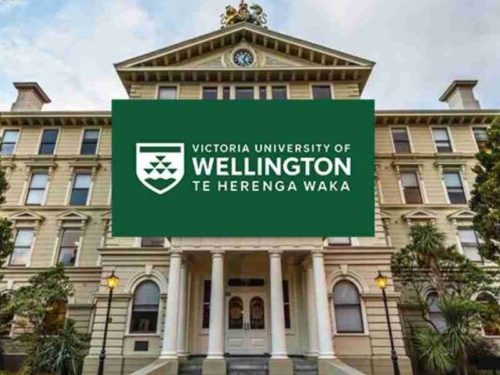 Read more about the article New Zealand university offers up to $10,000 Tongarewa scholarship for international students
