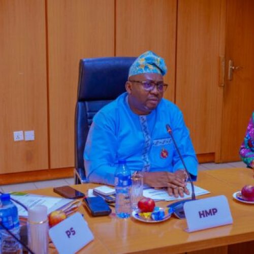 FG Set To Receive First Batch Of 3.2 Million Meters In April 2025 – Adelabu 