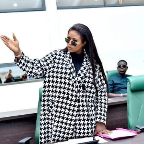 Natasha Osawaru, 2Baba’s Lover, Introduces Herself As ‘Nee Idibia’ At Plenary