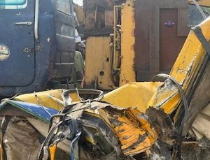 FB IMG 1743855085095