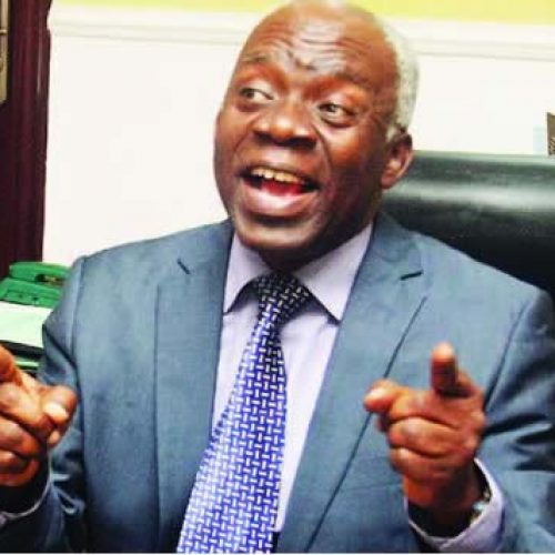 Reclaim Nigeria From Older Generation, Falana Tells Youths