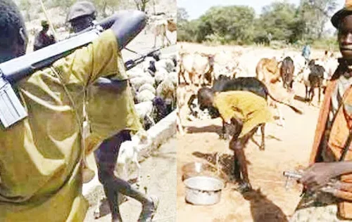Read more about the article Again, Herdsmen Kill 17 In Benue