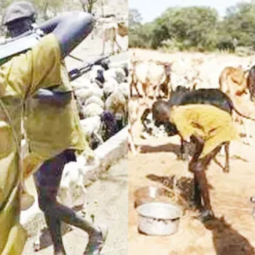 Again, Herdsmen Kill 17 In Benue
