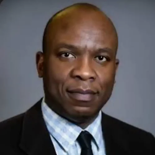 Read more about the article Resonant Voices For A Brighter Nigeria, By Abidemi Adebamiwa