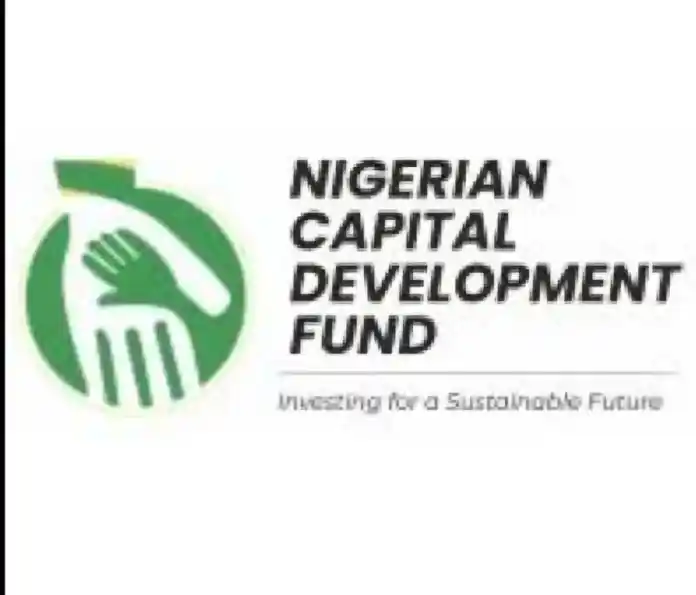 You are currently viewing NCDF Opens Applications For 2025 Fortune Entrepreneur Accelerator, Summit & Venture Capital Programme