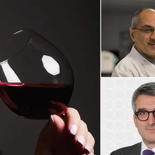 Red Wine Isn’t So Healthy After All, Say Cancer And Health Experts