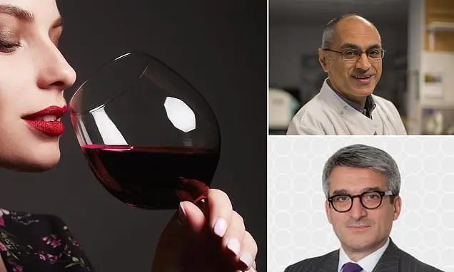 You are currently viewing Red Wine Isn’t So Healthy After All, Say Cancer And Health Experts