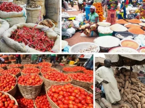 Read more about the article Frozen Fish, Pepper, And Tomatoes Price Soar To Over 100% In Lagos 
