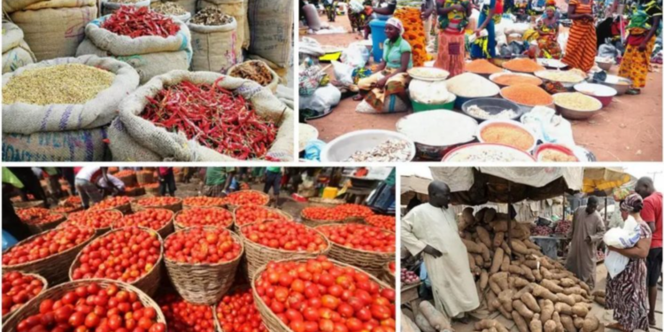 You are currently viewing Frozen Fish, Pepper, And Tomatoes Price Soar To Over 100% In Lagos 