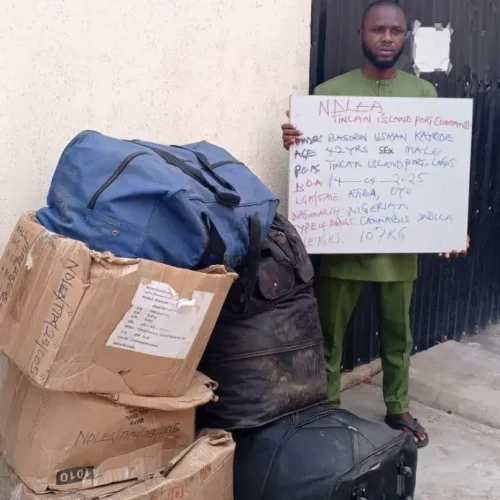 Read more about the article NDLEA Intercepts Cocaine In Saudi-Bound Religious Books