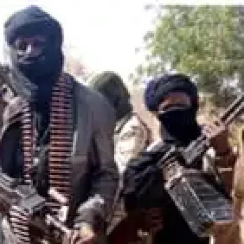 Bandits Chained Me For 30 days, Killed My Wife In My Presence – National Assembly Director