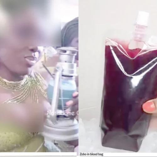 Read more about the article Blood Bags, Lanterns: Things You May Drink From At A Celebrity Party