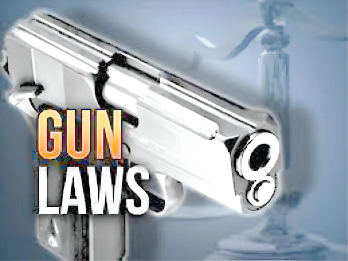 You are currently viewing What The Law Says On Gun Use