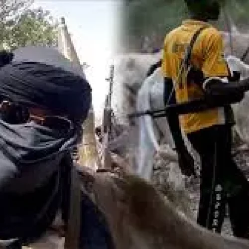 Insecurity: How Bandits, Killer Herdsmen Have Impacted Farming, Food Supply