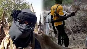 Read more about the article Insecurity: How Bandits, Killer Herdsmen Have Impacted Farming, Food Supply