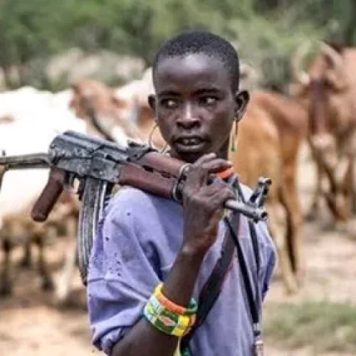 Massive Acquisition Of Over 5000 Hectres Of Land By Suspected Herdsmen In Obingwa LGA Unsettles Community – Traditional Ruler, Raise Alarm