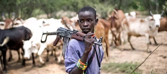 You are currently viewing Massive Acquisition Of Over 5000 Hectres Of Land By Suspected Herdsmen In Obingwa LGA Unsettles Community – Traditional Ruler, Raise Alarm