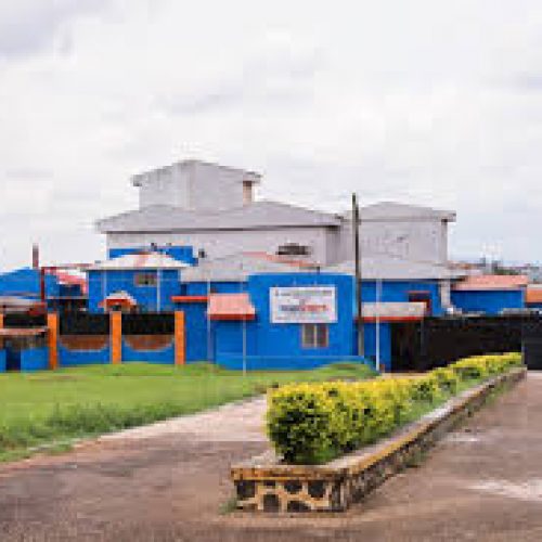 From Ondo State To The World: Meet Johnvents Group — The Agribusiness Giant Quietly Building Africa’s Future