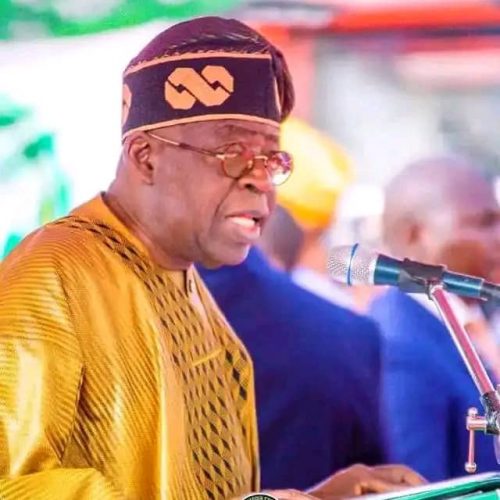 Read more about the article Ignore Armchair Critics; Your Results Will Speak For You, President Tinubu Tells Governors