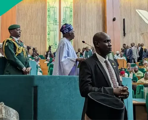 Read more about the article Full List Of Prominent Nigerians Tinubu Gives Awards To On Democracy Day