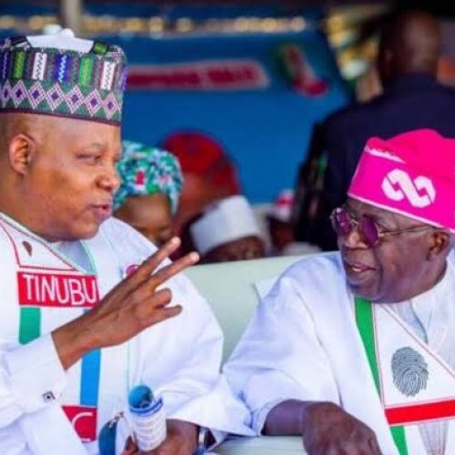 Fresh Details Emerge As Tinubu Moves To Shun Six Politicians, Retain Shettima As VP For 2027