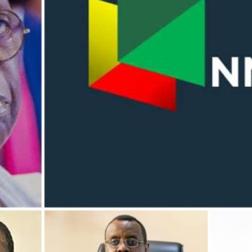 Oil Industry Experts Seek Free Hand For NNPCL Boss